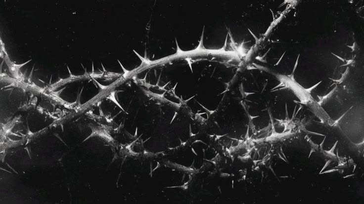 Black and white thorn artwork
